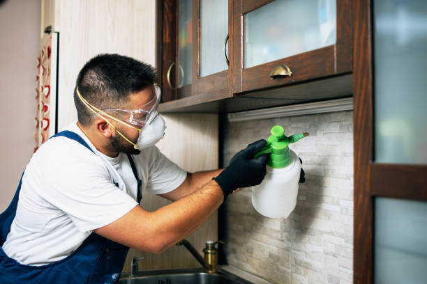 Best Termite Control Services  in Warren, PA
