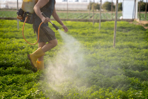 Best Commercial Pest Control Services  in Warren, PA