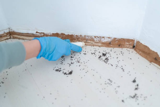 Best Mosquito Control Services  in Warren, PA